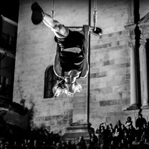 de berenis circus